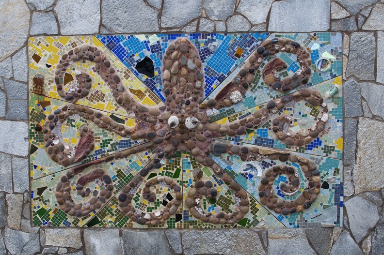 315-5441 Pacific Beach - Octopus.jpg